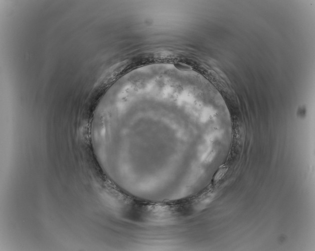X0000089890419200707262234