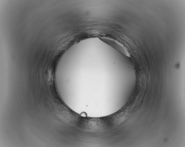 X0000089890420200707262234