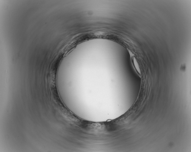 X0000089890421200707262234