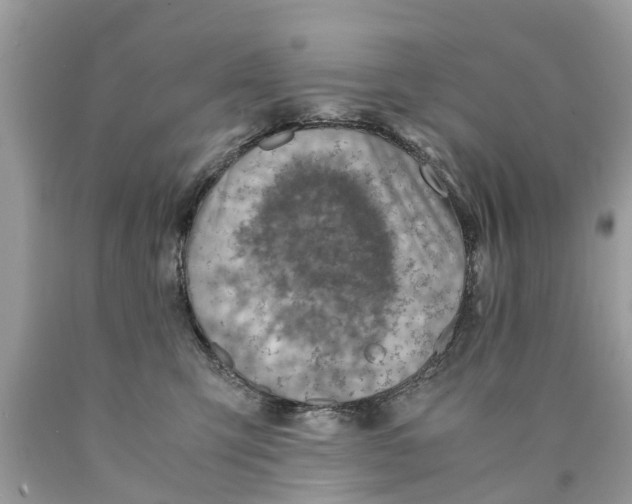 X0000089890423200707262234