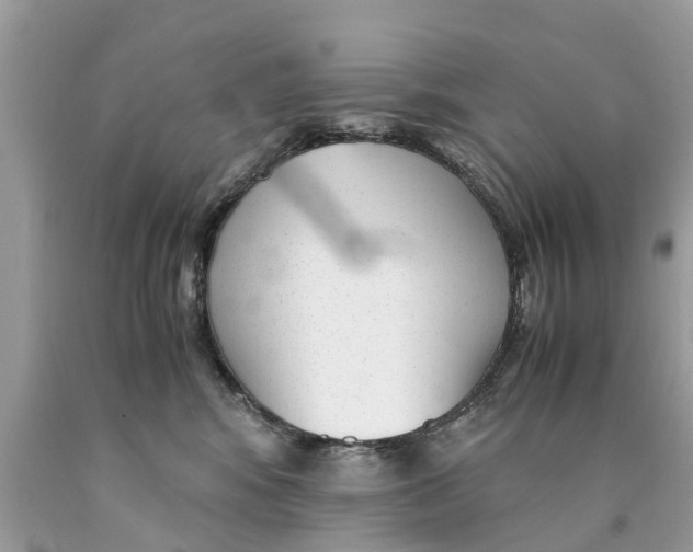 X0000089890424200707262234
