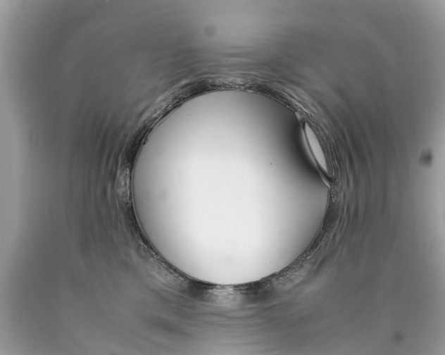 X0000089890425200707262234