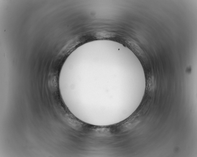 X0000089890426200707262234