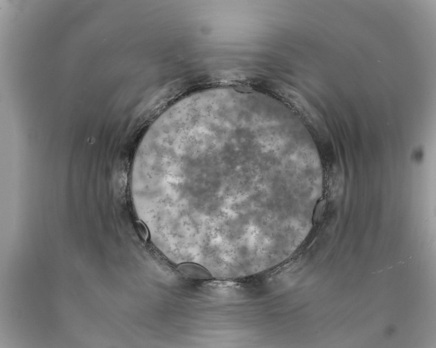 X0000089890427200707262234