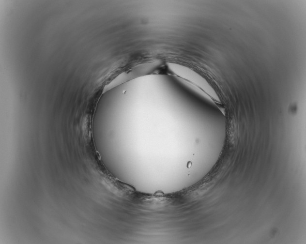 X0000089890428200707262234