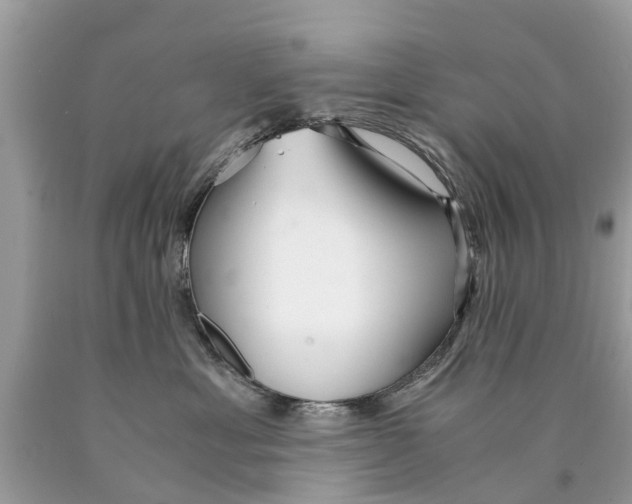X0000089890429200707262234