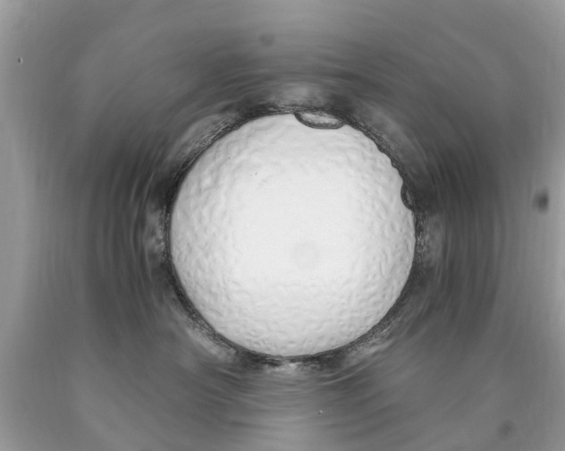 X0000089890430200707262234