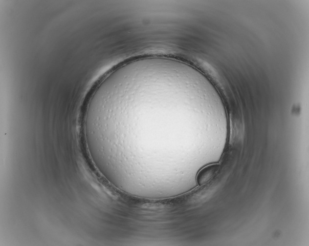 X0000089890435200707262233