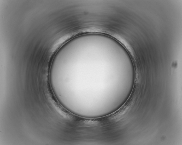 X0000089890437200707262233