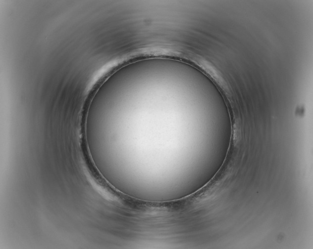 X0000089890438200707262233