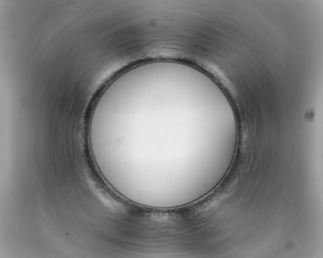 X0000089890439200707262233