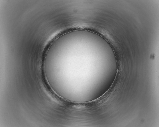 X0000089890440200707262233