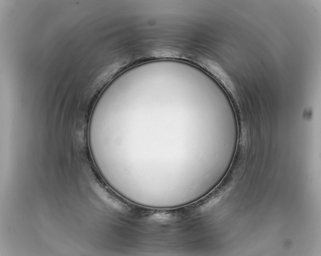 X0000089890441200707262233