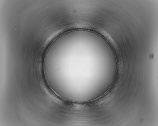 X0000089890442200707262233