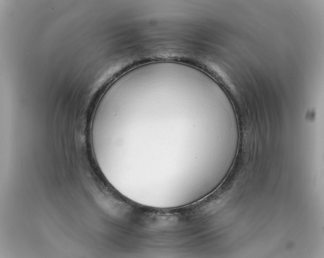 X0000089890443200707262233
