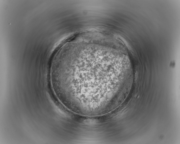 X0000089890444200707262233