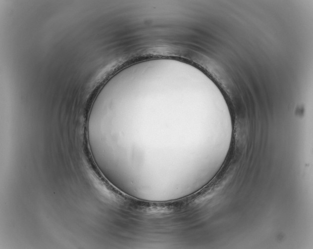 X0000089890445200707262233