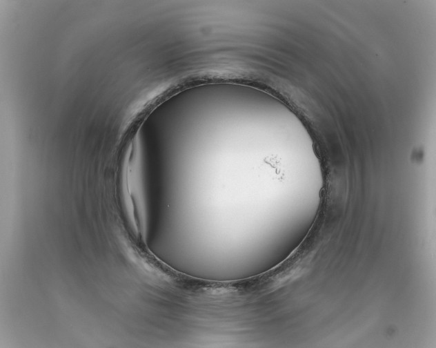 X0000089890446200707262233