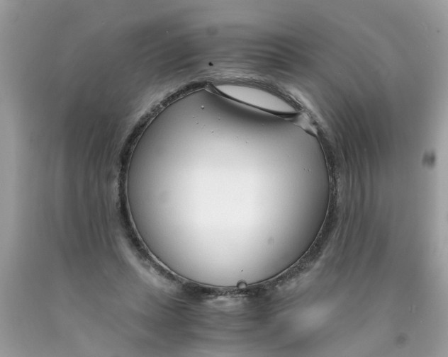 X0000089890447200707262233