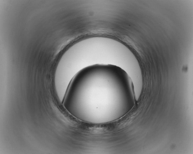 X0000089890448200707262233
