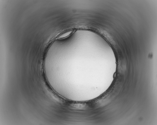 X0000089890449200707262233