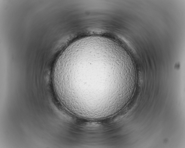 X0000089890451200707262233