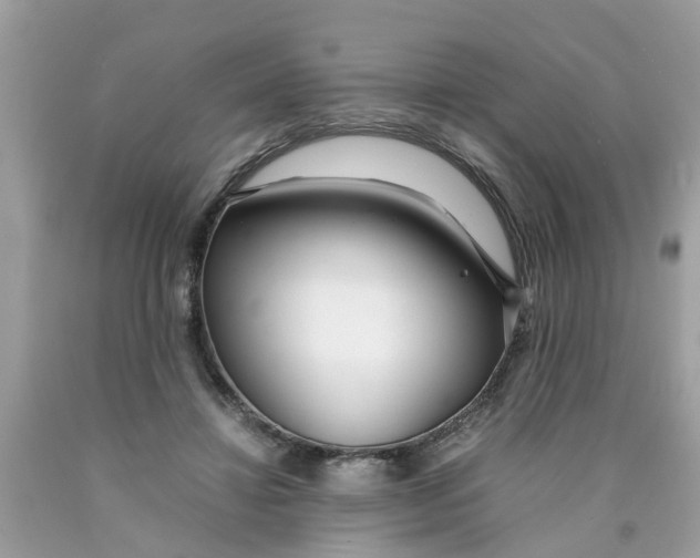 X0000089890452200707262233
