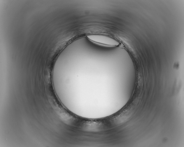 X0000089890453200707262233