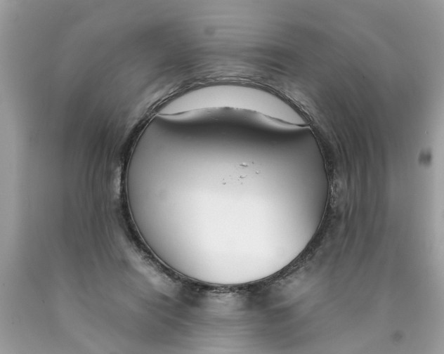 X0000089890454200707262233