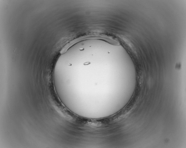 X0000089890455200707262233