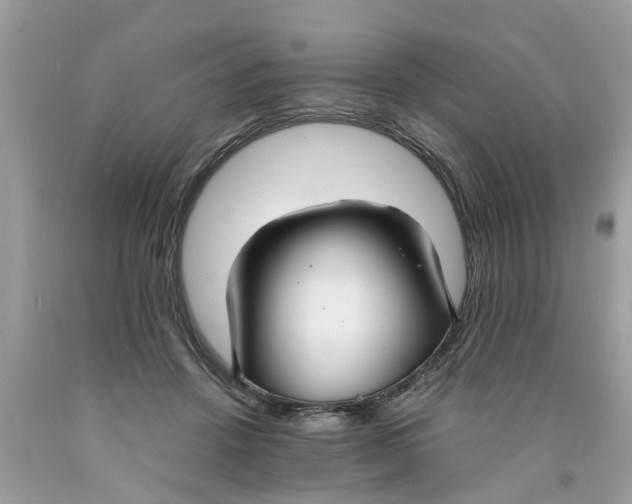 X0000089890456200707262233