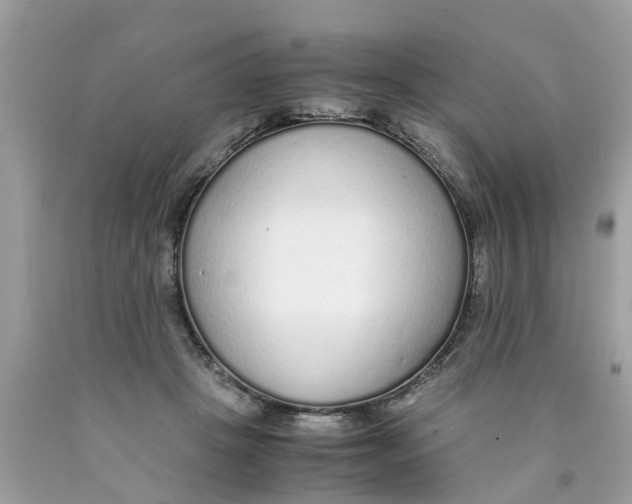 X0000089890457200707262233
