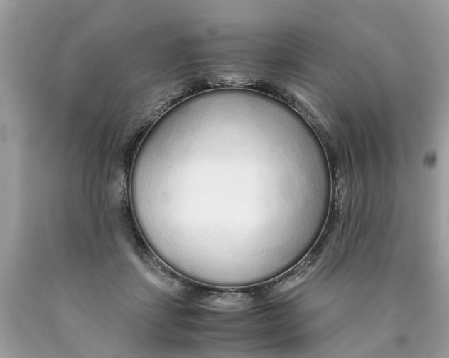 X0000089890459200707262233