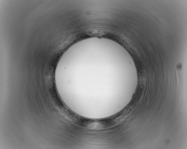 X0000089890460200707262233