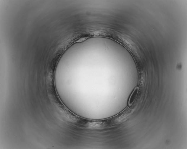 X0000089890461200707262233