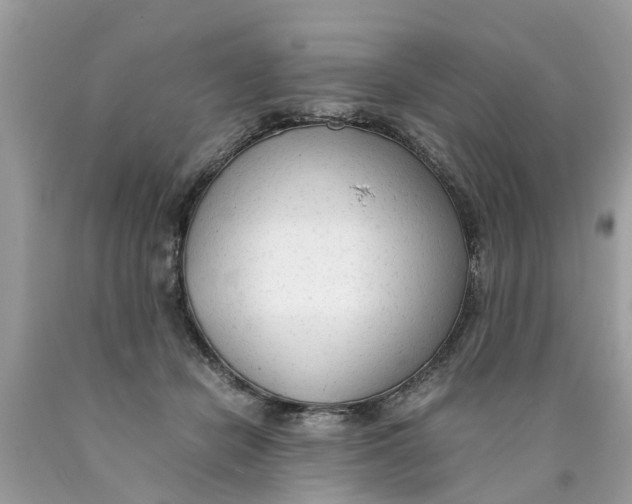 X0000089890462200707262233