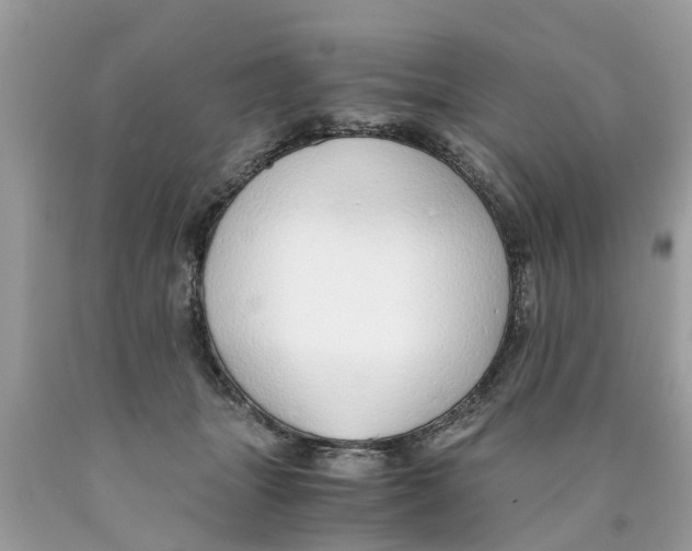 X0000089890463200707262233