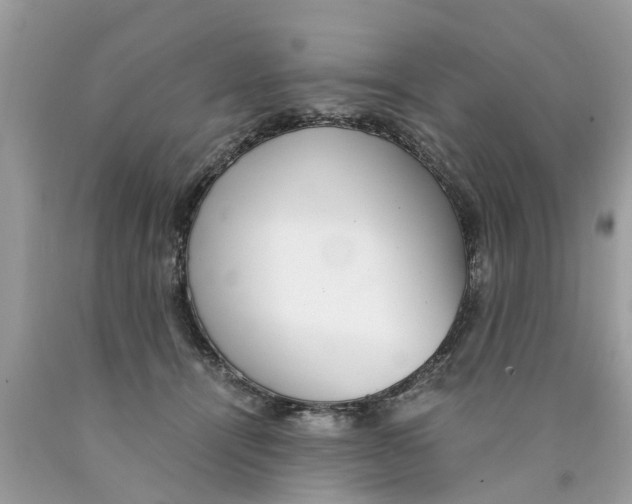 X0000089890464200707262233