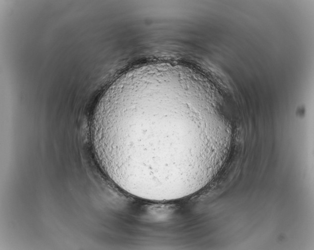 X0000089890465200707262233