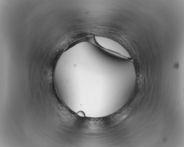 X0000089890466200707262233