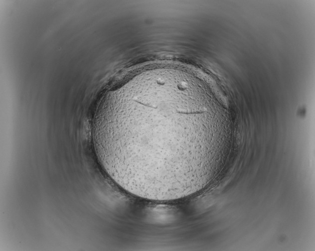 X0000089890467200707262233