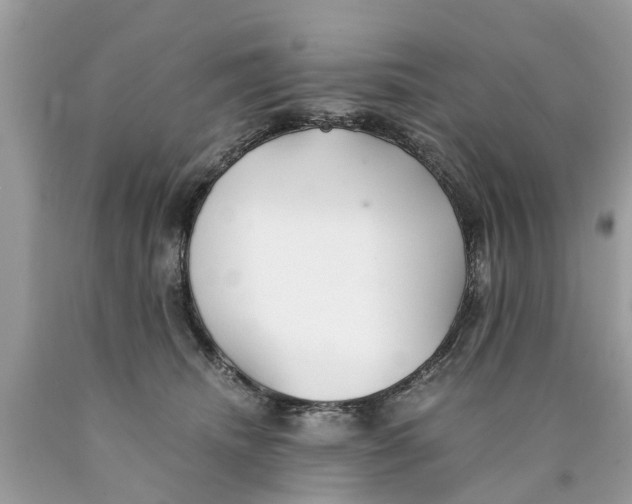 X0000089890468200707262233