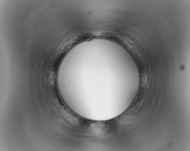 X0000089890470200707262234