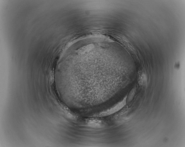 X0000089890471200707262234