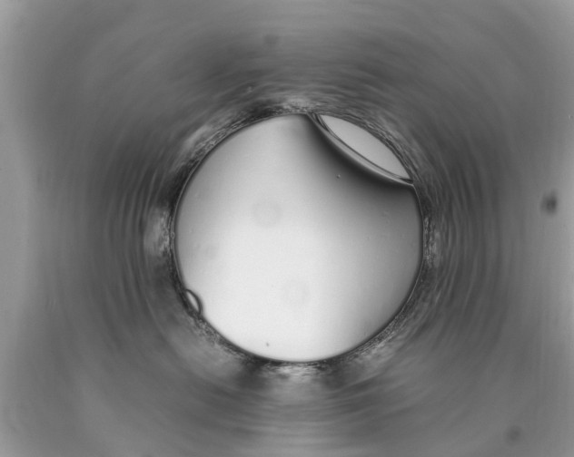 X0000089890478200707262234