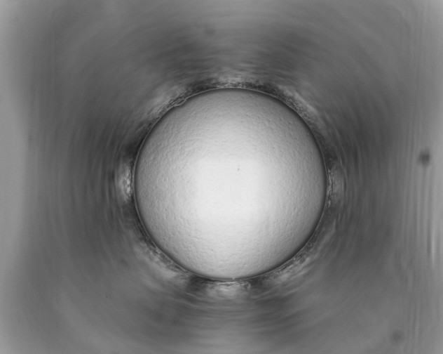 X0000089890479200707262234