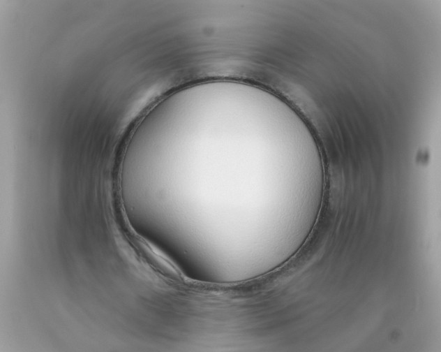 X0000089890482200707262233
