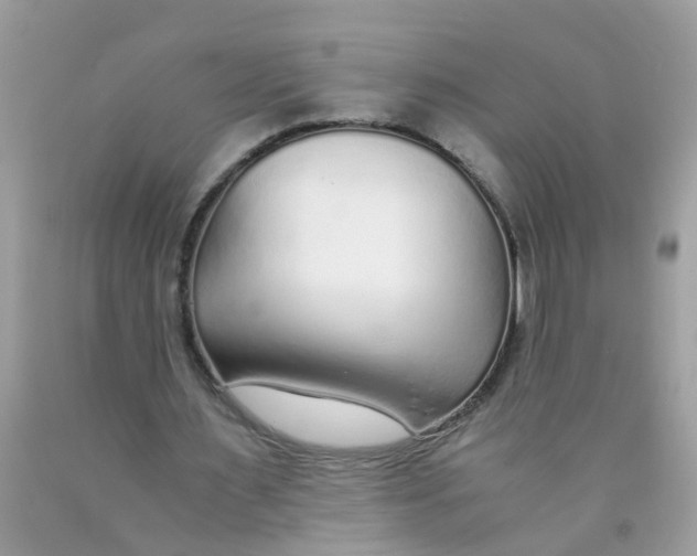 X0000089890483200707262233