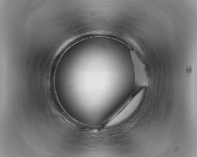 X0000089890484200707262233