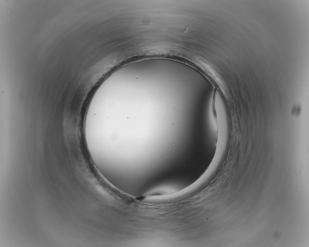 X0000089890485200707262233